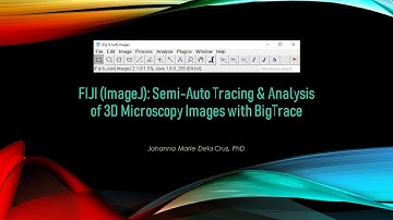 FIJI (ImageJ): Semi-Auto Tracing & Analysis of 3D Microscopy Images with BigTrace