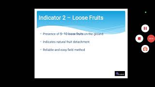 Palm Oil Farming (Tools and Equipment)