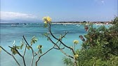ザ ブーム 手紙 Live Youtube ザ ブーム 手紙 Live Youtube