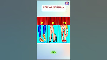 Chân nào của kẻ trộm? Cmt đáp án bên dưới nhé! #games #satisfying #đốvui #funny #quiz #giaitri