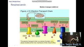 Biologi Kelas Xii - Katabolisme 1