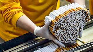 Fantastic cigarette production process - Amazing cigarettes making, overwrap & packaging technology