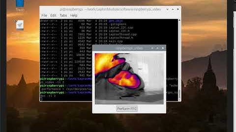 Raspberry pi 4 + Lepton3.5 Test (bright)