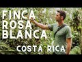 Finca Rosa Blanca // Costa Rica&#39;s Organic Coffee Farm &amp; Inn