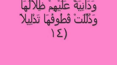 سورة الانسان للشيخ عماد بسيونى.wmv