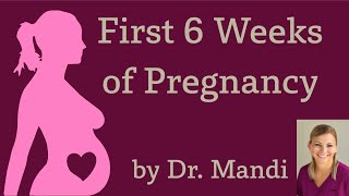 First Six Weeks of Pregnancy