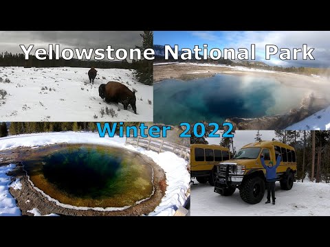 Exploring Yellowstone National Park in Winter!