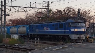 【ジョイント音&遅延貨物！】JR貨物 EF210-118号機+コキ26B 新A243仕業[1097レ] 名古屋タ行 小田第三踏切通過！[2023.11.29(水)]