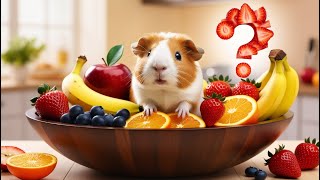 Can Guinea Pigs Eat Fruits? | Apples, Bananas, Grapes, Oranges, Strawberries, Blueberries & More! What Fruit Can Guinea Pigs Eat