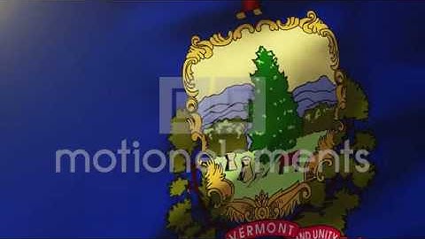 Vermont Flag Waving In The Wind. Looping Sun Rises Style. Animation Loop Stock Animation