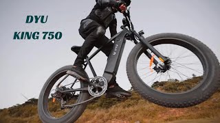 DYU King 750 | Assembly Guide