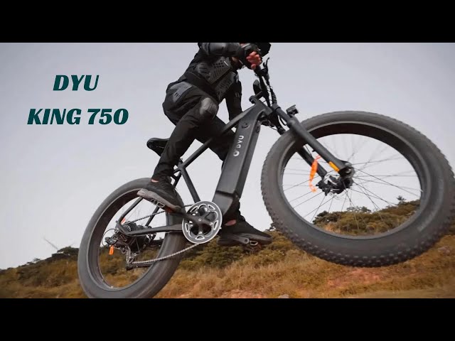 Bicicleta Eléctrica DYU King750