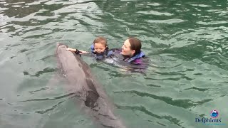 Delphinus in Mexico at Xcaret Park