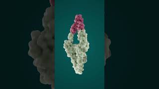 How Fungi Could Build, Clean & Feed Our Future!?