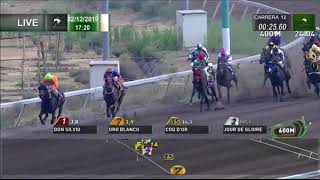 Vidéo de la course PMU PREMIO GRAN GRUNON