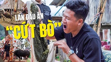Lần Đầu Ăn Cứt Bò Tươi Nóng Hổi, Trong Lễ Hiến Tế Heo Bò Của Người Mơ Nâm Ở Măng Đen | Măng Đen P1
