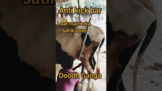 gaay laat marti hai सबसे साटिक जुगार. Anti kick bar. #shortvideo #shortsfeed #shortsviral #shorts