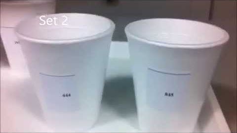 Paired Preference Test (Experiment 6)