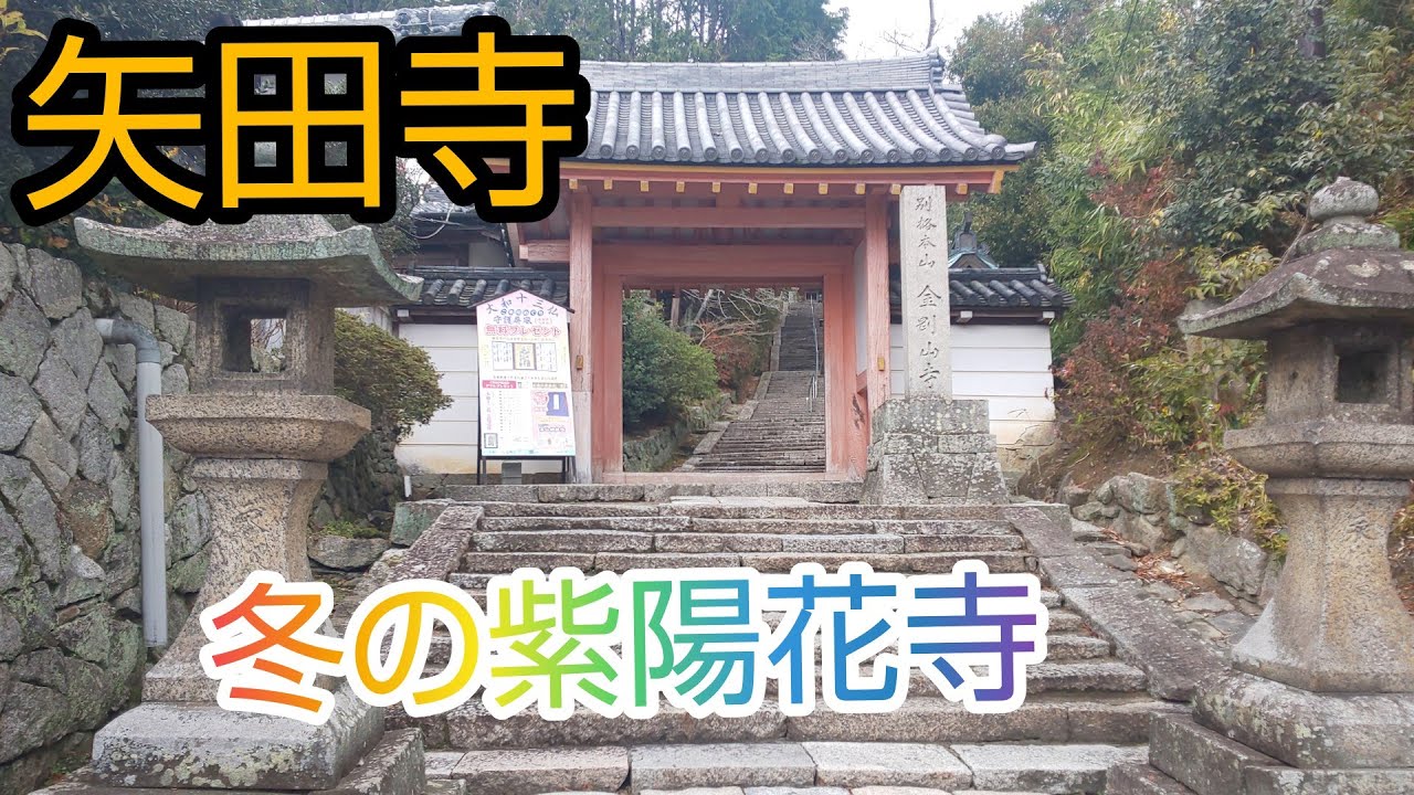矢田寺 正式名称 金剛山寺 アジサイ寺で有名です Youtube