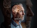 Scientists Discovered What Drives Memory Decline Scientists Discovered What Drives Memory Decline