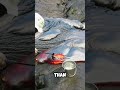 Lava Sampling