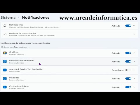 Desactivar notificaciones en Windows 11 | Cómo quitar las notificaciones en Windows 11