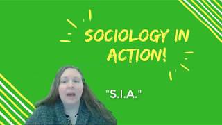 SOC 101 Sociology in Action