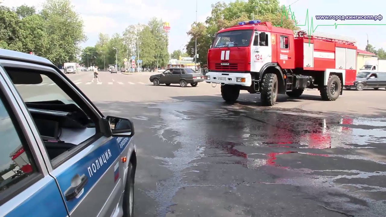 Сто кингисепп авто