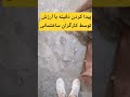 پیدا کردن گنج توسط کارگران ساختمانی  گنج سنگبازی عتیقه