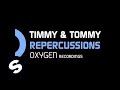 Timmy & Tommy - Repercussions (Original Mix)