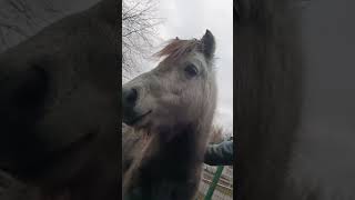 Я не буду с тобой всю твою жизнь! Я столько не проживу. Но знай! Я буду твоим другом...