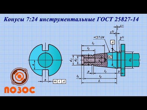 Видео: Мөөгний конус кассерол