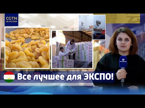 Таджикские сухофрукты на ЭКСПО в Шанхае