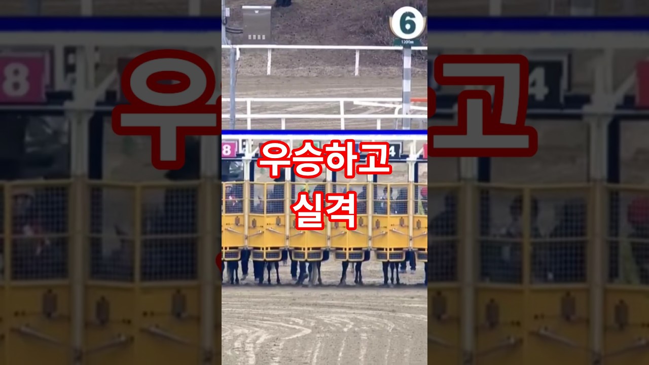 우승하고 실격, 왜 기수를 낙마시키냐?