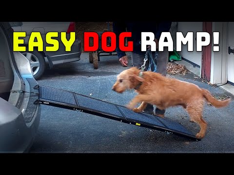 Best Car Ramp For Large Dogs