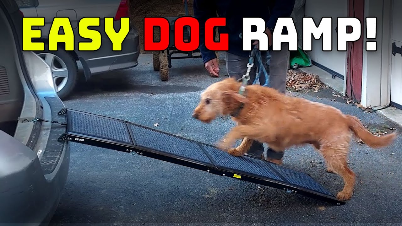 Vevor Dog Ramp Review | Easy Folding Car Ramp for Dogs