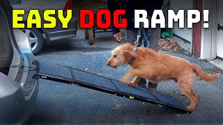 Vevor Dog Ramp Review | Easy Folding Car Ramp for Dogs