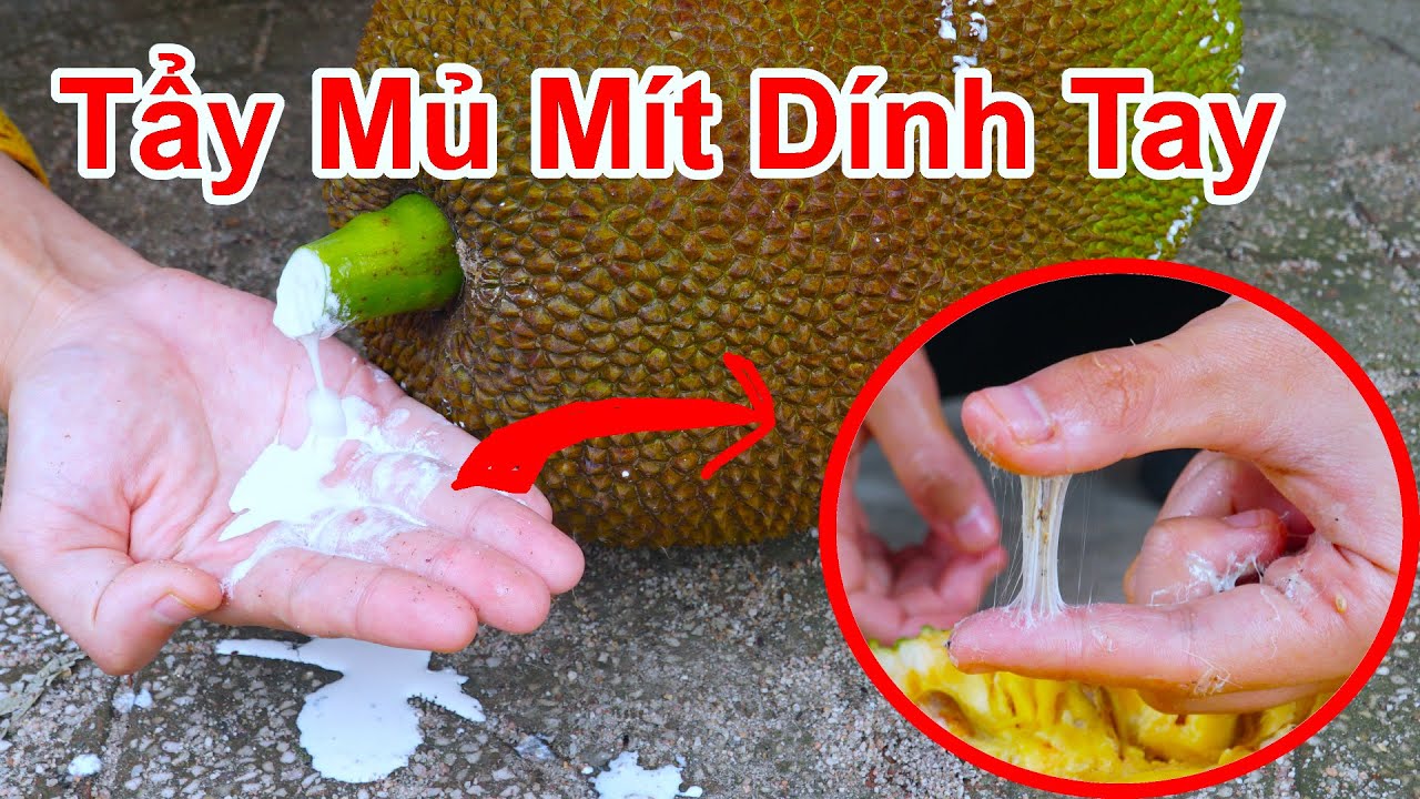 Dễ Ợt ! Tẩy Mủ Mít Dính Tay Bằng Cách Không Ai Ngờ Tới / Mẹo Chùi Mủ Mít Dính Dao , Tẩy Nhựa Mít Tay