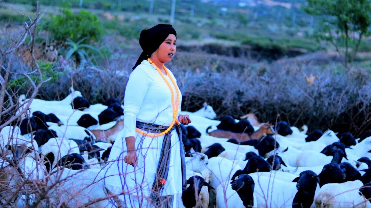 DHAANTO CUSUB | ZAYNAB AGA & KHAYR COL-HAYE | VIDEO 2023