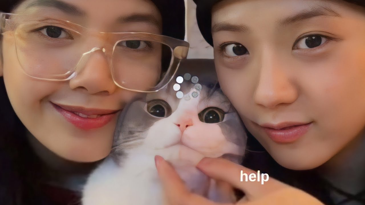 lisa and jisoo being a MESS