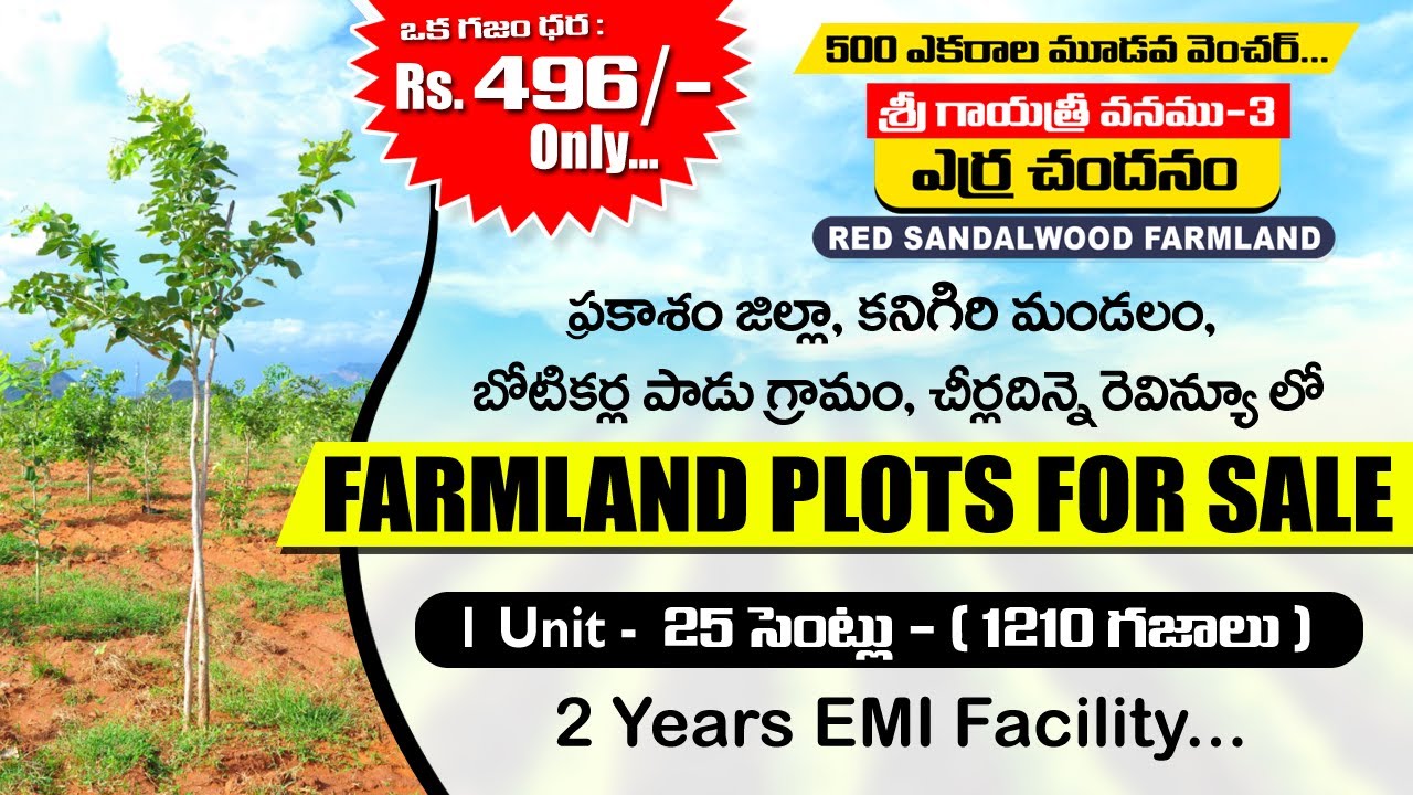 Farmland Plots for Sale Red Sandalwood Plantation ఎర్రచందనం