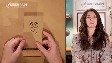 Tiny Drummer Lesson 2