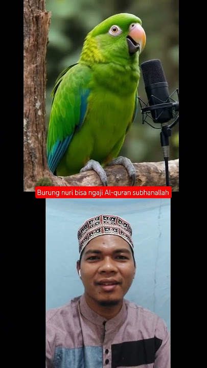 burung nuri bisa ngaji Al-quran subhanallah