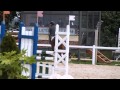 Jumping horses in le touquet parisplage france