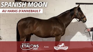 Fiche étalon SPANISH MOON - France sire