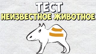 Рисуночный Тест : 