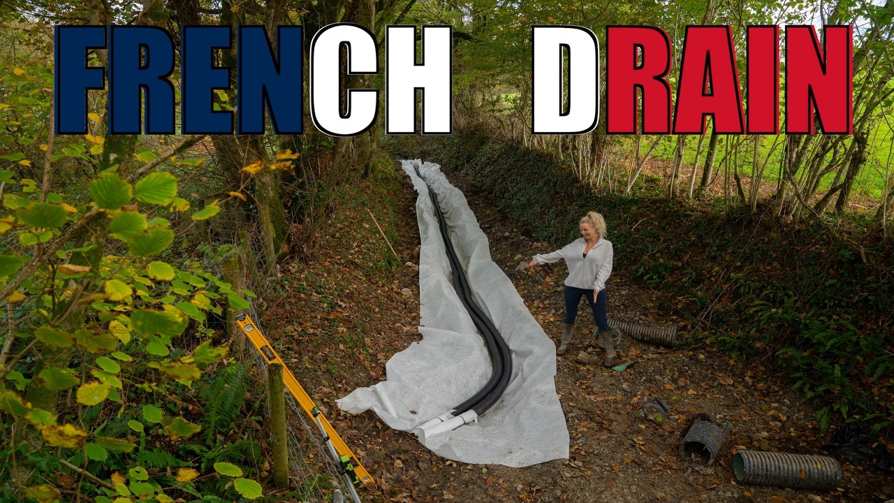Installing A Huge French Drain Ourselves | DIY Project
