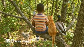Peter and The Wolf - billy woods / Mickey Diamond / Sam Seed (Official Music Video)