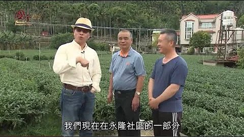 你喝的乌龙茶是炭焙还是电焙的?  (戴忠仁的国宝档案 +Arts &Life  News) - 天天要闻