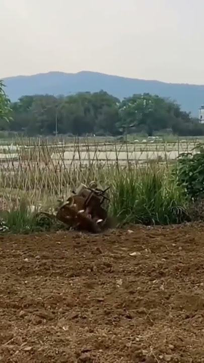 ULTRAMAN Terjelungup Saat Bajak Sawah #shorts #ultraman